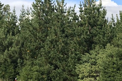 Photo of property in 487 Whangamata Road, Kinloch, Taupo, 3377