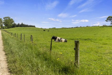 Photo of property in 266 Rangiora Leithfield Road, Sefton, 7477