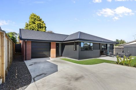 Photo of property in 24a Patrick Place, Fitzroy, Hamilton, 3206