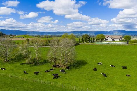 Photo of property in 563b Matai Road, Matamata, 3472