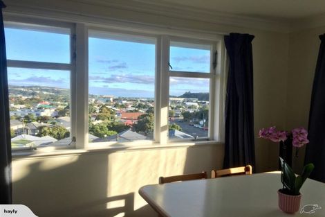 Photo of property in 117 Tauhinu Road, Miramar, Wellington, 6022