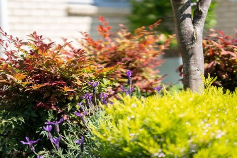 Photo of property in Trackside Villas, 22/91 Mako Mako Road, Levin, 5510