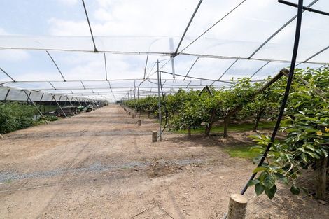 Photo of property in 225 Hoeka Road, Matangi, Hamilton, 3284