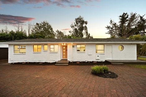 Photo of property in 20 Splitt Avenue, Glenview, Hamilton, 3206