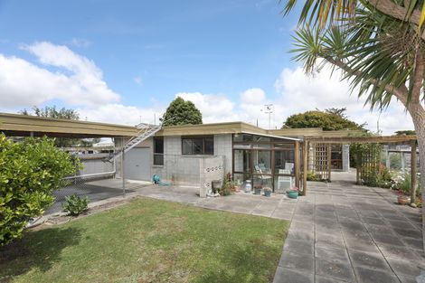 Photo of property in 19 Fitzroy Street, Terrace End, Palmerston North, 4410