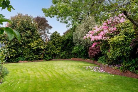 Photo of property in 5 Merlin Street, Roslyn, Dunedin, 9010