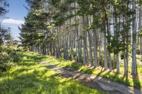 Photo of property in 74 Brookvale Lane, Taupaki, 0782