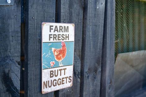 Photo of property in 103 Partridge Road, Wellsford, 0973