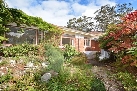 Photo of property in 47 Every Street, Andersons Bay, Dunedin, 9013