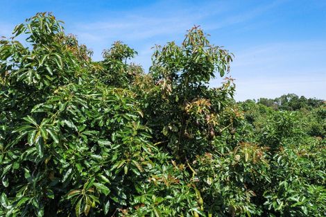 Photo of property in 4 Esdaile Road, Whakamarama, Tauranga, 3180