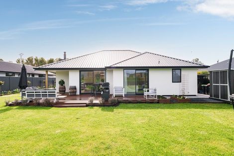 Photo of property in 113 Formby Street, Outram, 9019