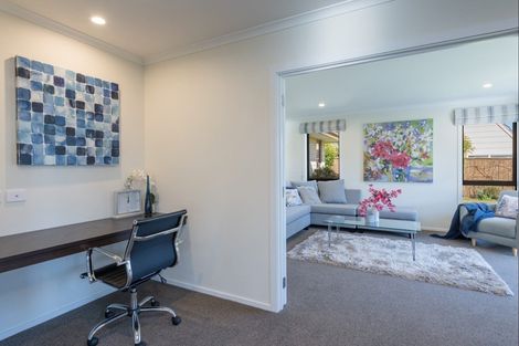 Photo of property in 6 Concordia Drive, Richmond, 7020