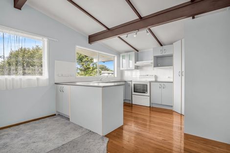 Photo of property in 28 Eyre Street, Henderson, Auckland, 0612