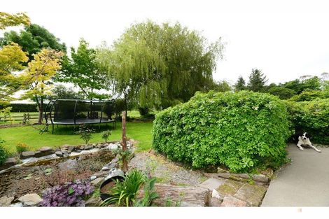 Photo of property in 66 Timaru Road, Waimate, 7924
