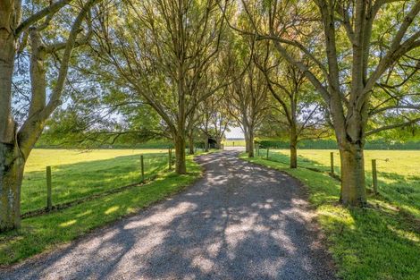 Photo of property in 238 Beach Road East, Elgin, Ashburton, 7777