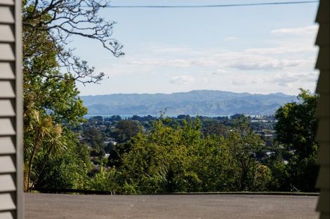 Photo of property in 49 Ayton Street, Mangapapa, Gisborne, 4010