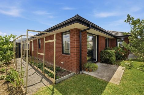 Photo of property in 6 Kahawai Close, Pyes Pa, Tauranga, 3112