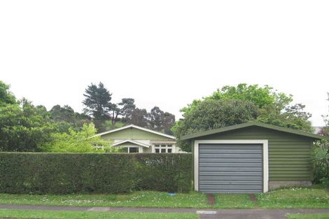 Photo of property in 50 Thames Road, Paeroa, 3600