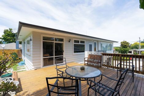 Photo of property in 25 Macarthur Street, Levin, 5510