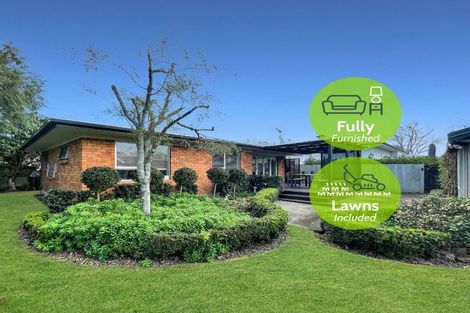 Photo of property in 62 Firth Street, Hamilton East, Hamilton, 3216