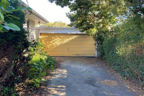 Photo of property in 46b Copeland Street, Hutt Central, Lower Hutt, 5011