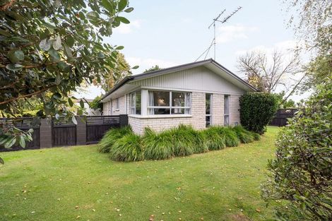 Photo of property in 164 Burns Street, Leamington, Cambridge, 3432