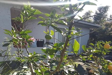 Photo of property in 40 Judea Road, Judea, Tauranga, 3110