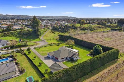 Photo of property in 57b Fairview Place, Te Puke, 3119
