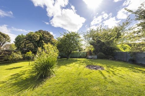 Photo of property in 43 Ballance Street, Shannon, 4821