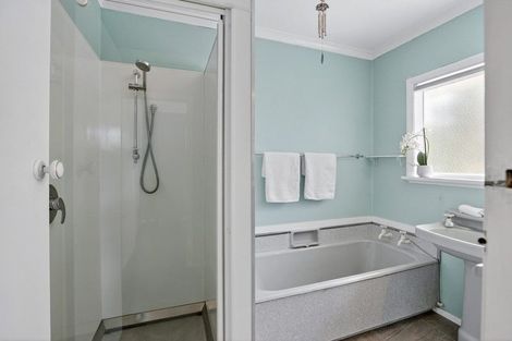 Photo of property in 100 Alexander Road, Raumati Beach, Paraparaumu, 5032