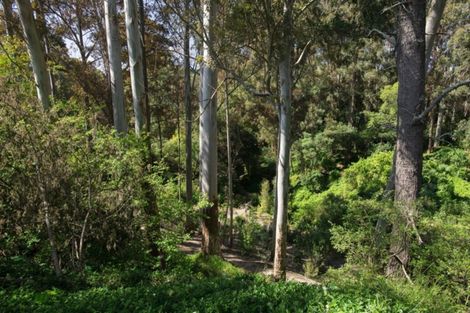 Photo of property in 18 Diana Avenue, Mangapapa, Gisborne, 4010