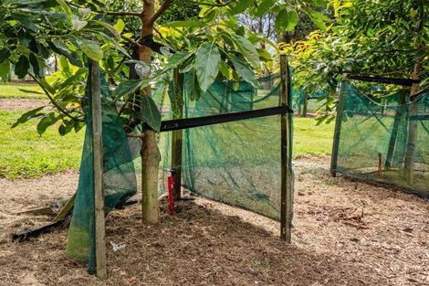 Photo of property in 484a Wright Road, Aongatete, Katikati, 3181