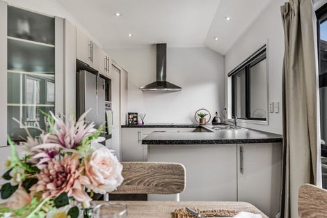 Photo of property in 416b Tristram Street, Whitiora, Hamilton, 3200