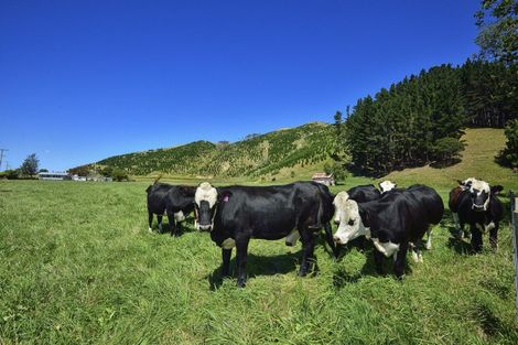 Photo of property in 785 Wharekopae Road, Ngatapa, Gisborne, 4072