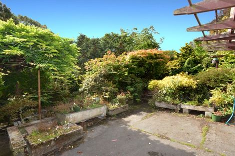 Photo of property in 47 Every Street, Andersons Bay, Dunedin, 9013