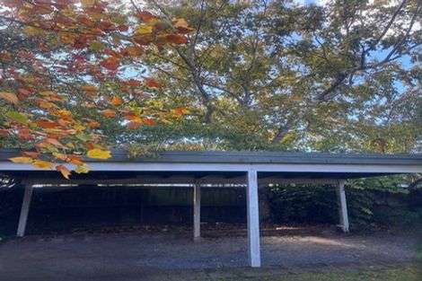 Photo of property in 231 Springfield Road, St Albans, Christchurch, 8014