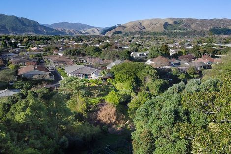 Photo of property in 113 Belvedere Avenue, Waikanae, 5036