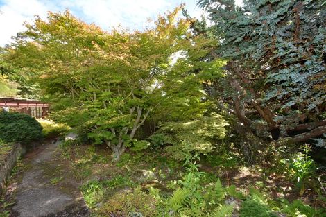 Photo of property in 47 Every Street, Andersons Bay, Dunedin, 9013