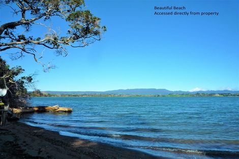 Photo of property in 31 Mcdonnell Street, Omokoroa, 3114