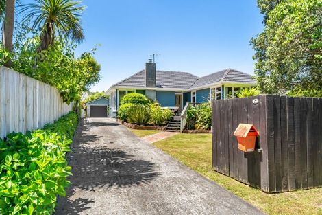 Photo of property in 45 Black Beech Street, Birchville, Upper Hutt, 5018