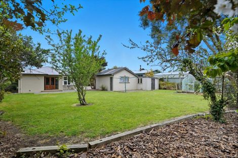 Photo of property in 13 Gilbert Street, Amberley, 7410