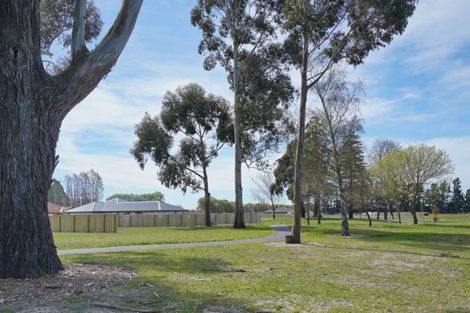 Photo of property in 31 Minerva Crescent, Woodend, 7610