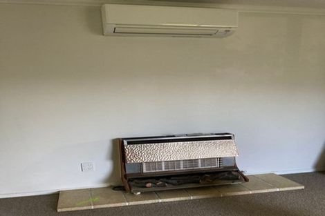 Photo of property in 46b Copeland Street, Hutt Central, Lower Hutt, 5011