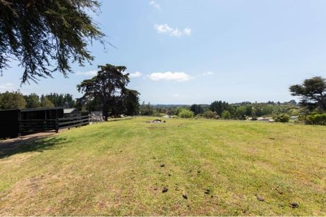 Photo of property in 1001 Scenic Drive North, Swanson, Henderson, 0781