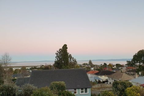 Photo of property in 109 Danby Street, Thames, 3500