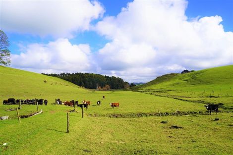 Photo of property in 533 Pataua South Road, Pataua South, Onerahi, 0192