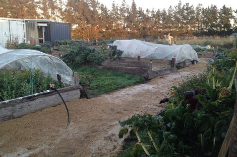 Photo of property in 148 Maskells Road, Balcairn, Amberley, 7481