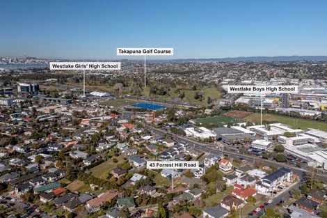 Photo of property in 43 Forrest Hill Road, Milford, Auckland, 0620