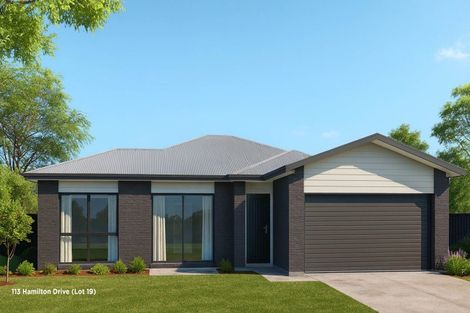 Photo of property in 117 Hamilton Drive, Waiuku, 2123