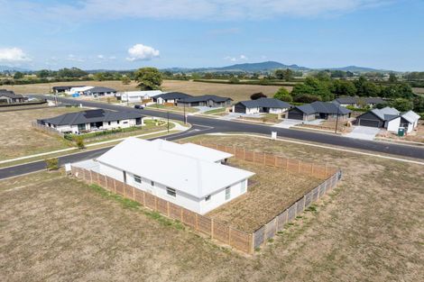Photo of property in 30 Buxton Crescent, Matamata, 3400